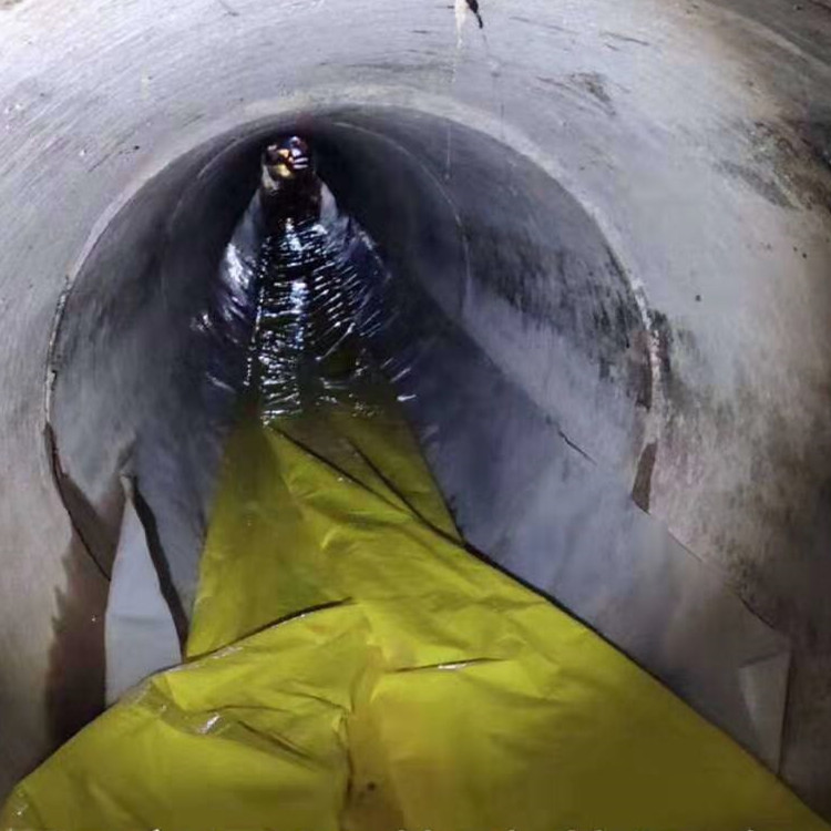 萨迦管道光固化修复